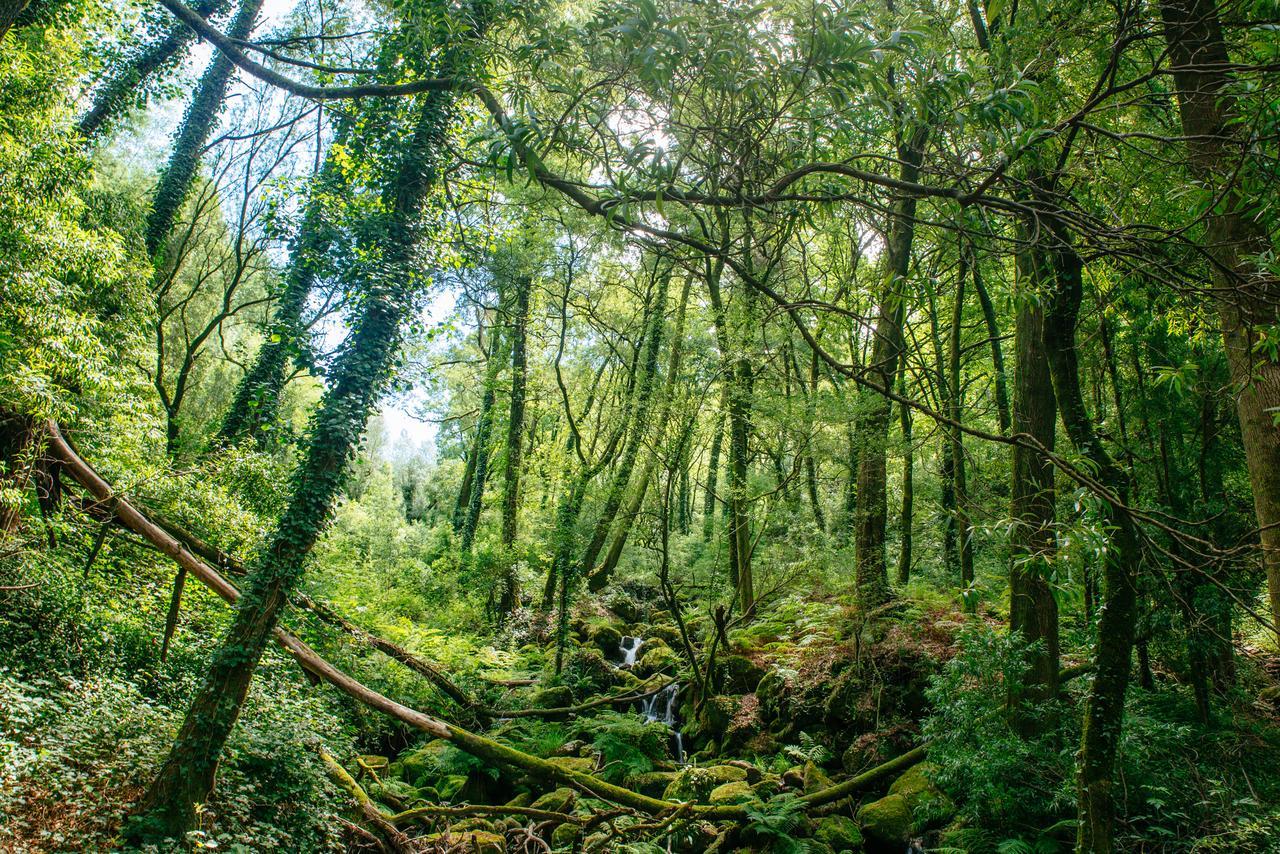 Vila Quinta Do Rio Geres Bouro Exteriér fotografie